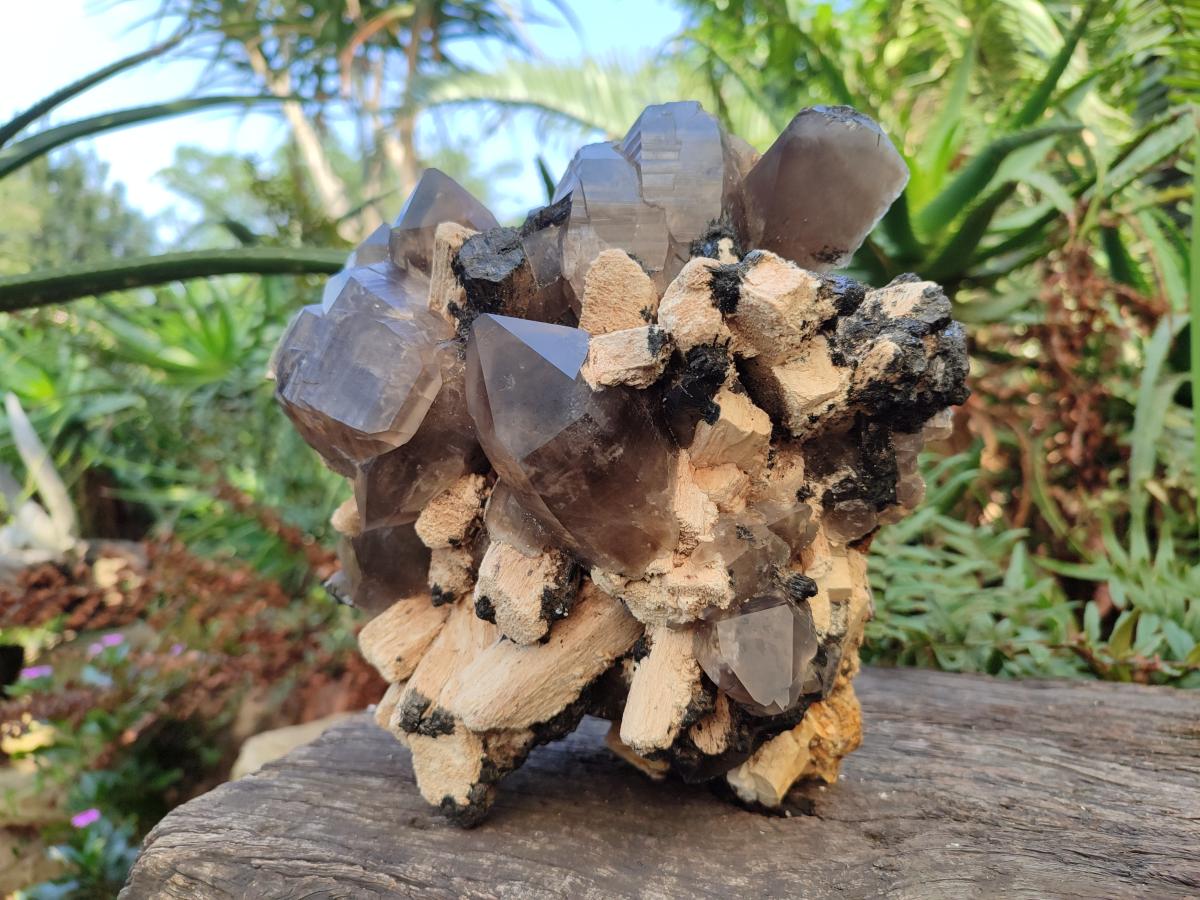 Natural Large Erongo Mountain Cluster of Smokey Quartz with Double Terminated Crystals x 1 From Erongo, Namibia