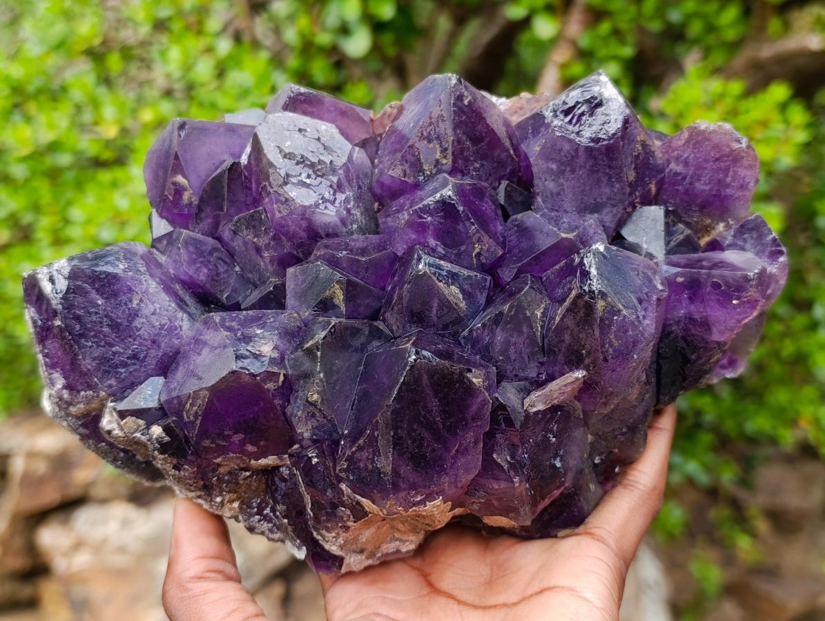 Natural Large Deep Purple Zambian Amethyst Decor Crystal Cluster x 1 From Kalomo, Zambia