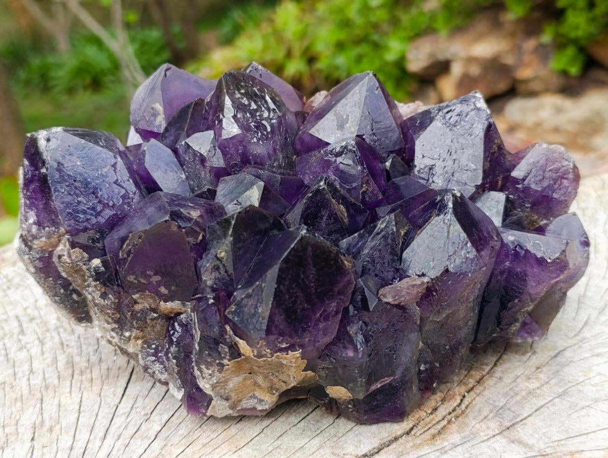Natural Large Deep Purple Zambian Amethyst Decor Crystal Cluster x 1 From Kalomo, Zambia