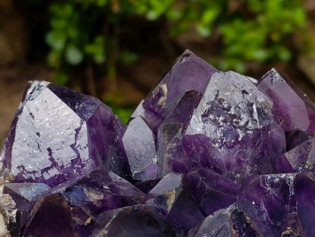 Natural Large Deep Purple Zambian Amethyst Decor Crystal Cluster x 1 From Kalomo, Zambia