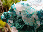 Natural XL Dioptase Specimen with Malachite and Calcite on Dolomite Matrix x 1 From Mashamba East, Congo