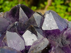 Natural Large Deep Purple Zambian Amethyst Decor Crystal Cluster x 1 From Kalomo, Zambia