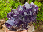 Natural Large Deep Purple Zambian Amethyst Decor Crystal Cluster x 1 From Kalomo, Zambia