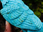 Hand Made Stunning Chrysocolla and 9ct Gold Eagle Sculpture on a Basalt Base x 1 From USA