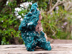 Natural Large Shiny Tiantara Mine Dioptase Cabinet Specimen x 1 From Tiantara, Congo