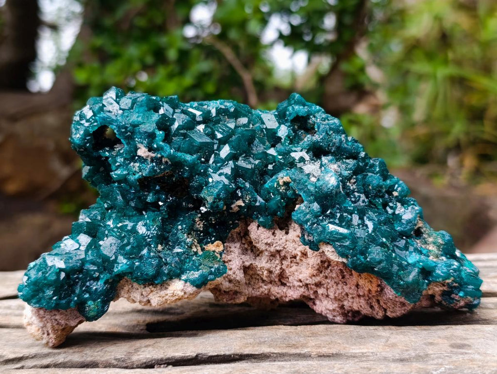 Natural Large Shiny Tiantara Mine Dioptase Cabinet Specimen x 1 From Tiantara, Congo