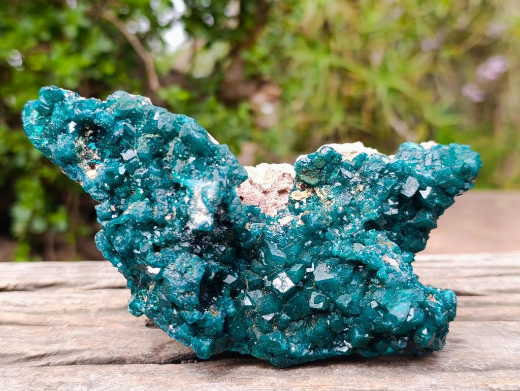 Natural Large Shiny Tiantara Mine Dioptase Cabinet Specimen x 1 From Tiantara, Congo