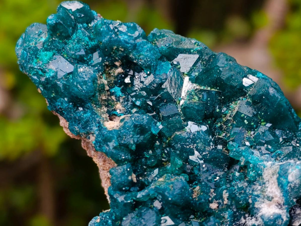 Natural Large Shiny Tiantara Mine Dioptase Cabinet Specimen x 1 From Tiantara, Congo