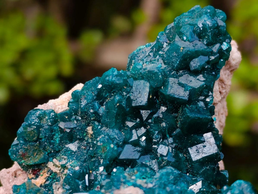 Natural Large Shiny Tiantara Mine Dioptase Cabinet Specimen x 1 From Tiantara, Congo