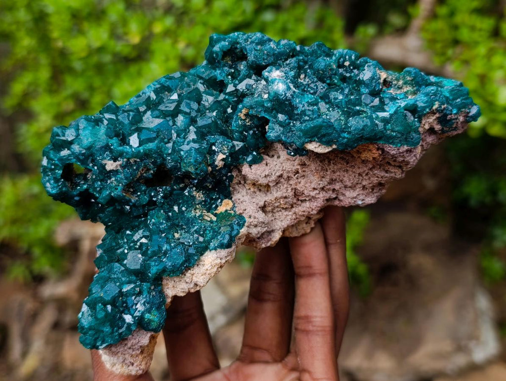 Natural Large Shiny Tiantara Mine Dioptase Cabinet Specimen x 1 From Tiantara, Congo