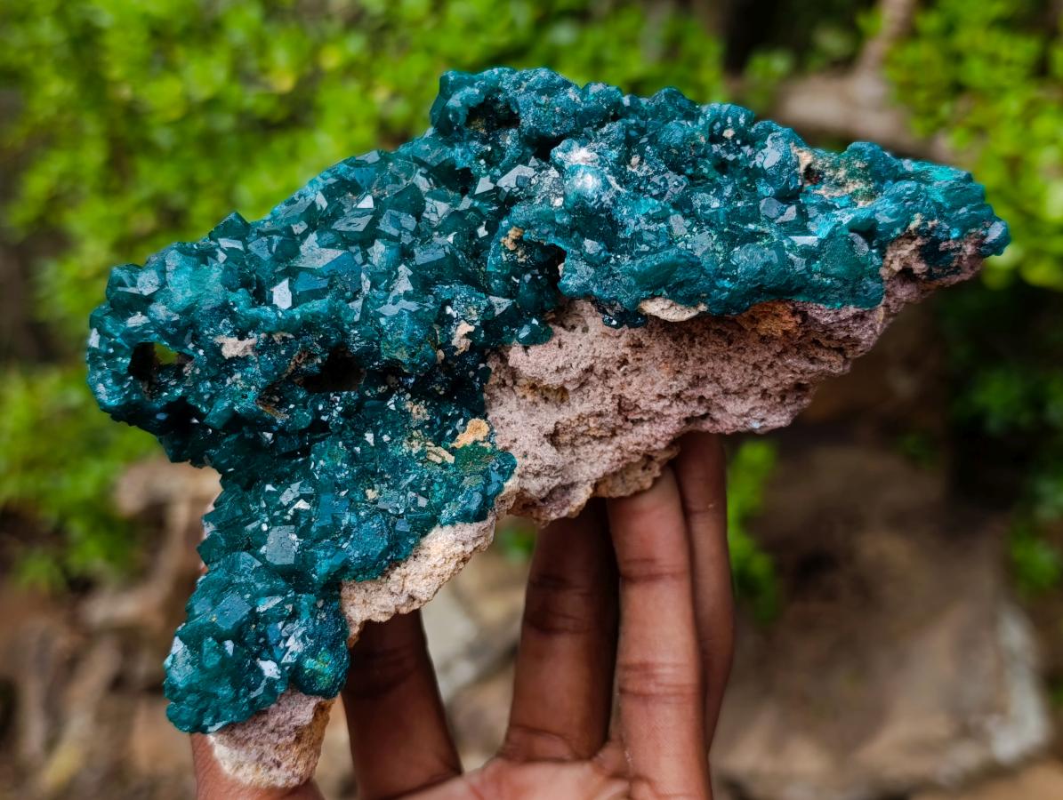 Natural Large Shiny Tiantara Mine Dioptase Cabinet Specimen x 1 From Tiantara, Congo