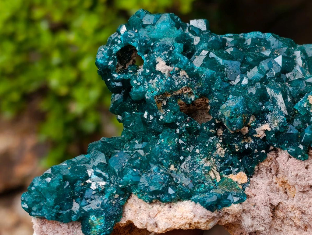 Natural Large Shiny Tiantara Mine Dioptase Cabinet Specimen x 1 From Tiantara, Congo