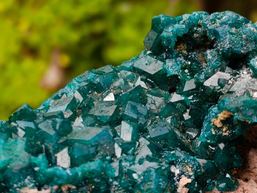 Natural Large Shiny Tiantara Mine Dioptase Cabinet Specimen x 1 From Tiantara, Congo