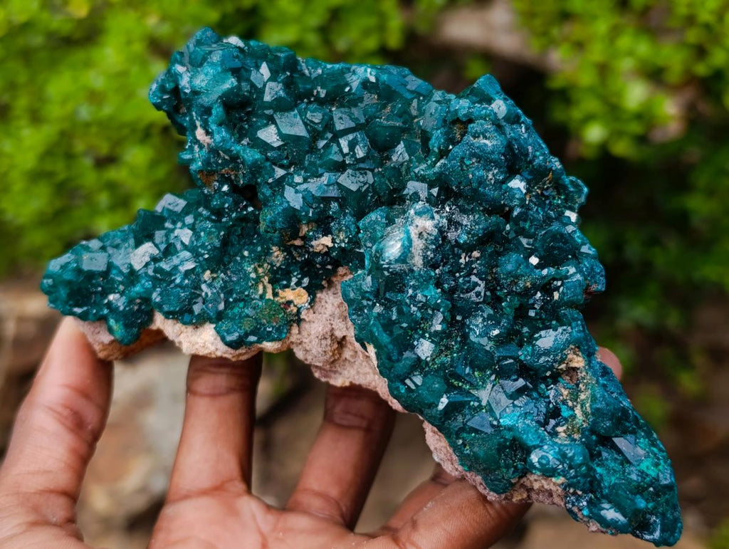 Natural Large Shiny Tiantara Mine Dioptase Cabinet Specimen x 1 From Tiantara, Congo