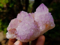 Natural Classic Sunburst Spirit Amethyst Crystal Cluster x 1 From Boekenhouthoek, South Africa