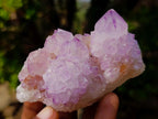 Natural Classic Sunburst Spirit Amethyst Crystal Cluster x 1 From Boekenhouthoek, South Africa