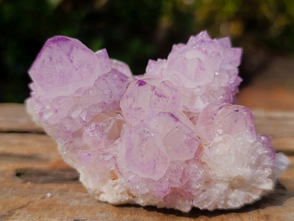 Natural Classic Sunburst Spirit Amethyst Crystal Cluster x 1 From Boekenhouthoek, South Africa