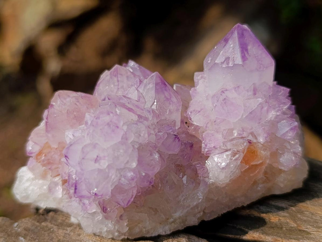 Natural Classic Sunburst Spirit Amethyst Crystal Cluster x 1 From Boekenhouthoek, South Africa