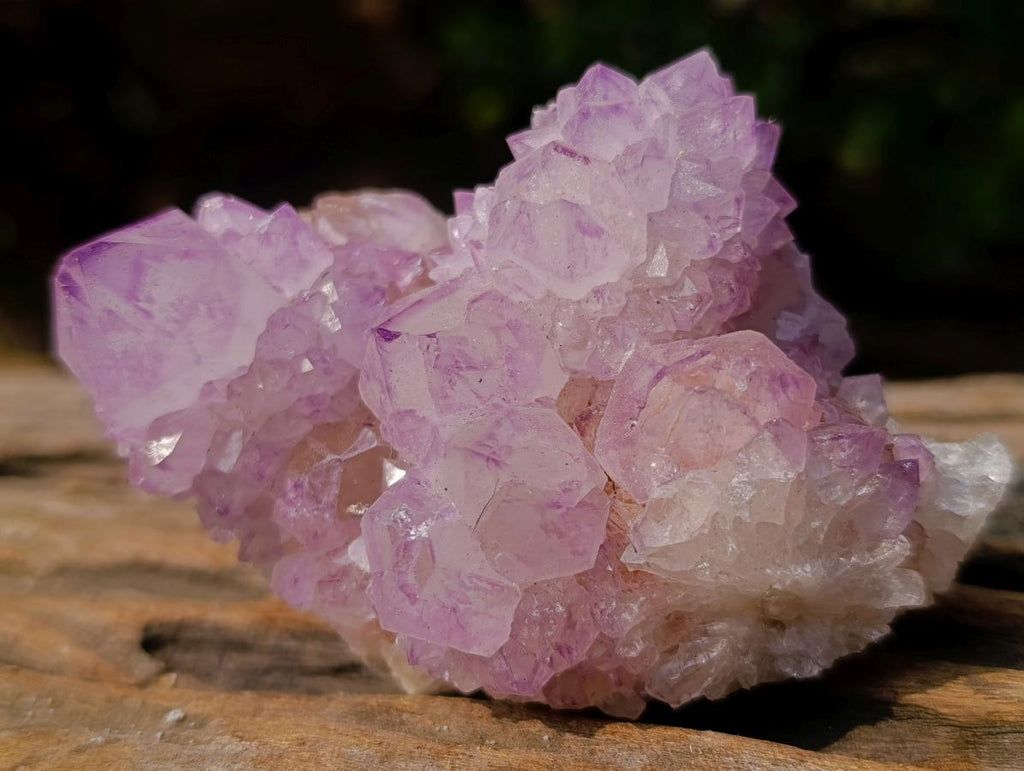 Natural Classic Sunburst Spirit Amethyst Crystal Cluster x 1 From Boekenhouthoek, South Africa