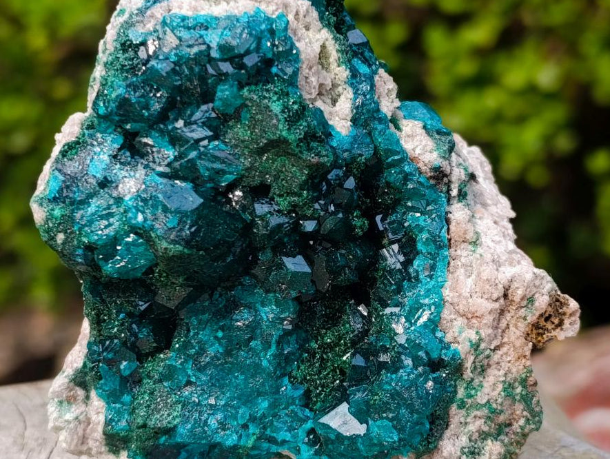 Natural Classic Mashamba East Cabinet Dioptase Specimen x 1 From Mashamba East, Congo