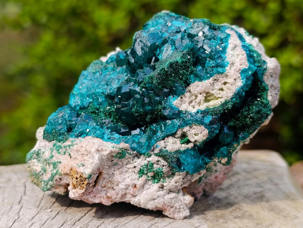 Natural Classic Mashamba East Cabinet Dioptase Specimen x 1 From Mashamba East, Congo