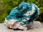 Natural Classic Mashamba East Cabinet Dioptase Specimen x 1 From Mashamba East, Congo
