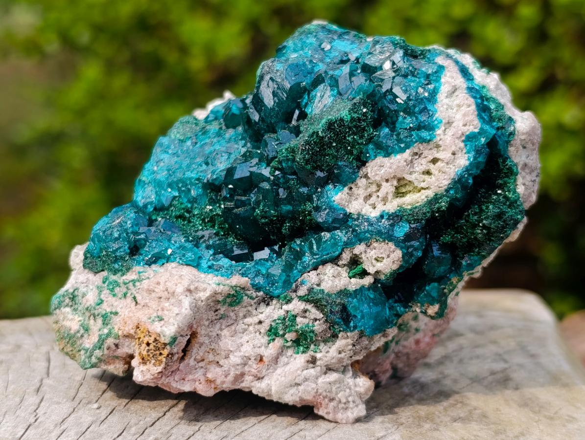 Natural Classic Mashamba East Cabinet Dioptase Specimen x 1 From Mashamba East, Congo