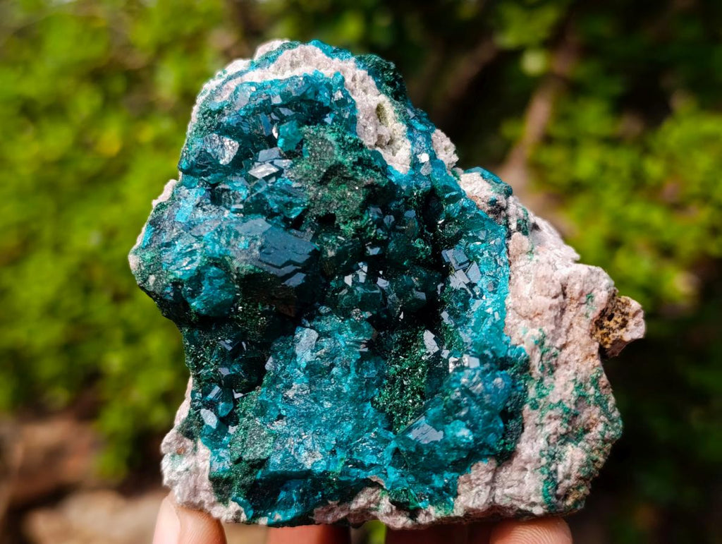 Natural Classic Mashamba East Cabinet Dioptase Specimen x 1 From Mashamba East, Congo