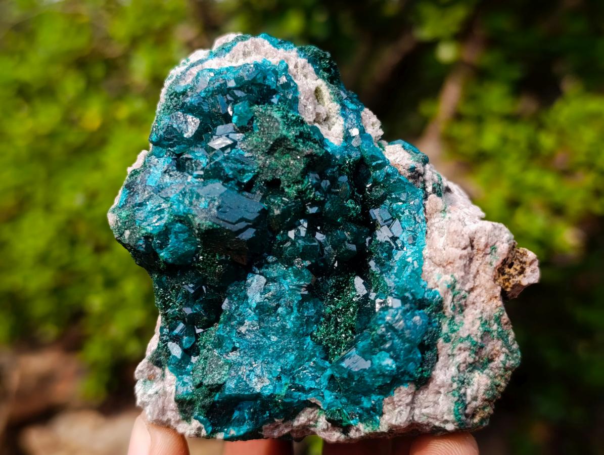 Natural Classic Mashamba East Cabinet Dioptase Specimen x 1 From Mashamba East, Congo