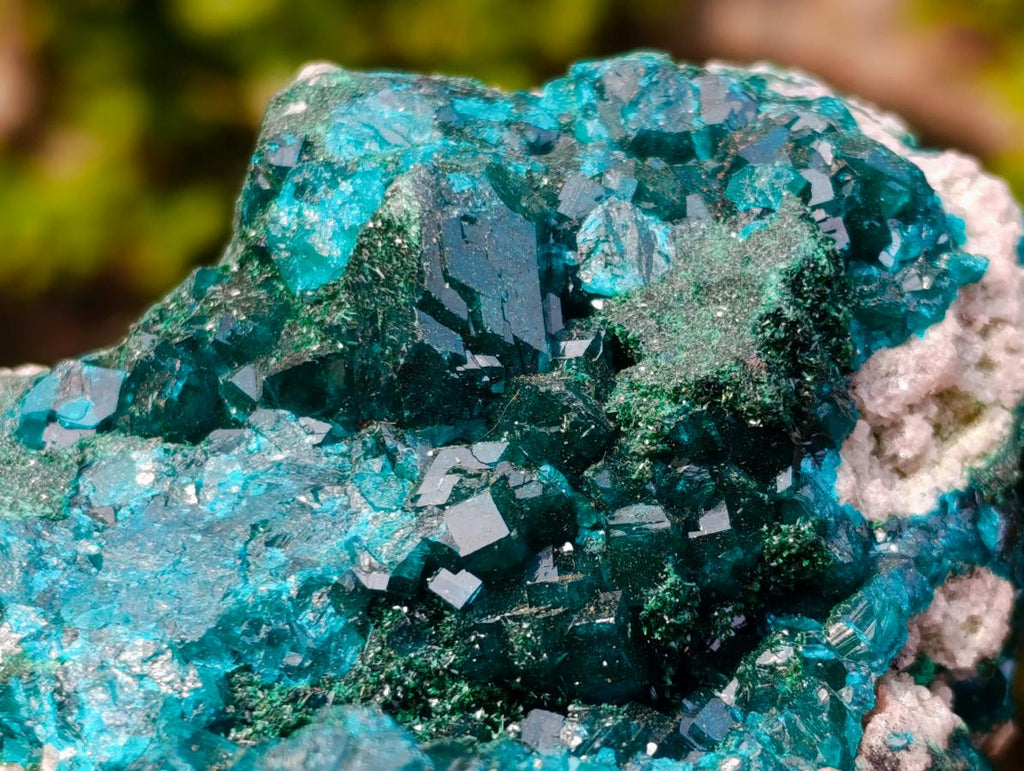 Natural Classic Mashamba East Cabinet Dioptase Specimen x 1 From Mashamba East, Congo
