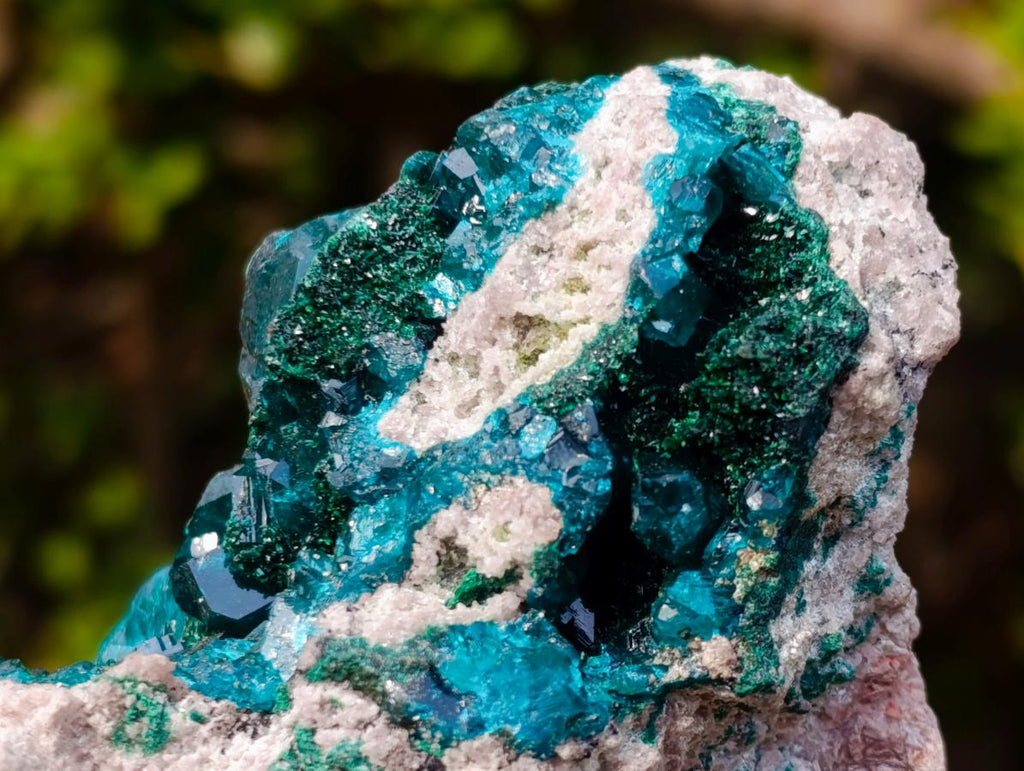 Natural Classic Mashamba East Cabinet Dioptase Specimen x 1 From Mashamba East, Congo