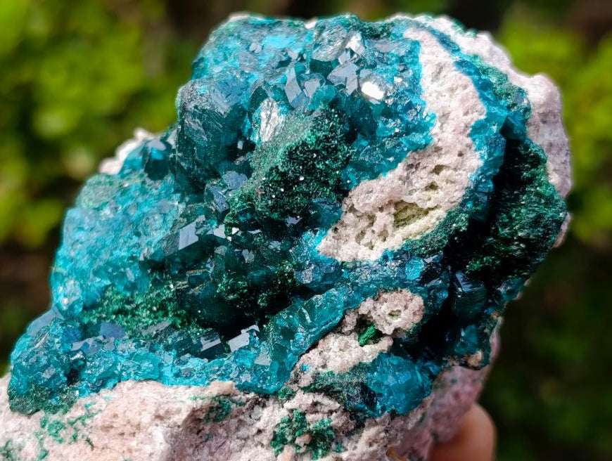 Natural Classic Mashamba East Cabinet Dioptase Specimen x 1 From Mashamba East, Congo
