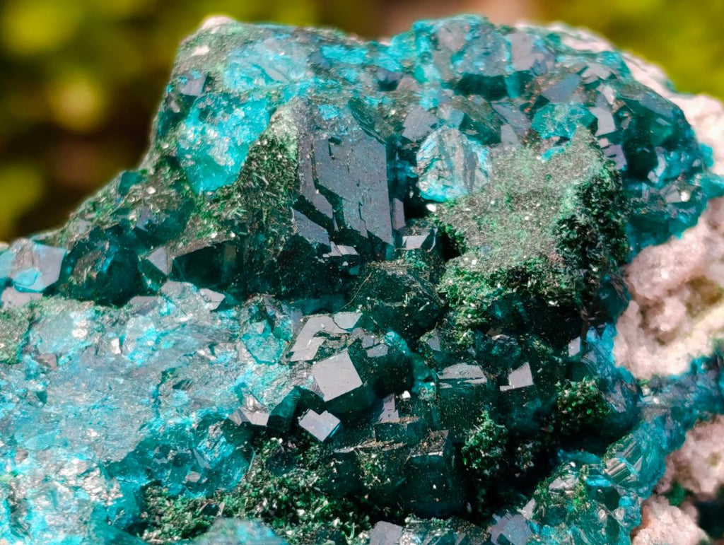 Natural Classic Mashamba East Cabinet Dioptase Specimen x 1 From Mashamba East, Congo