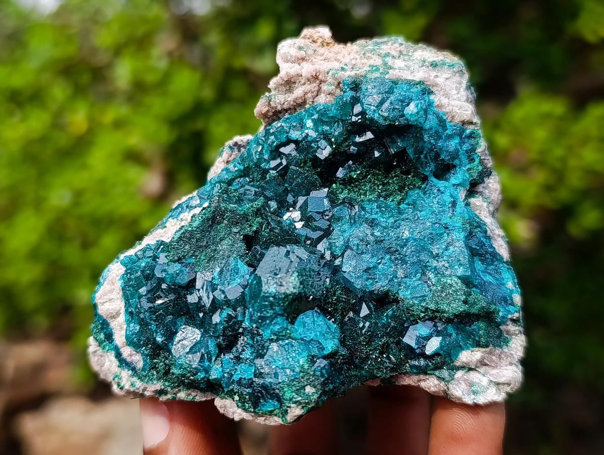 Natural Classic Mashamba East Cabinet Dioptase Specimen x 1 From Mashamba East, Congo