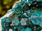 Natural Classic Mashamba East Cabinet Dioptase Specimen x 1 From Mashamba East, Congo