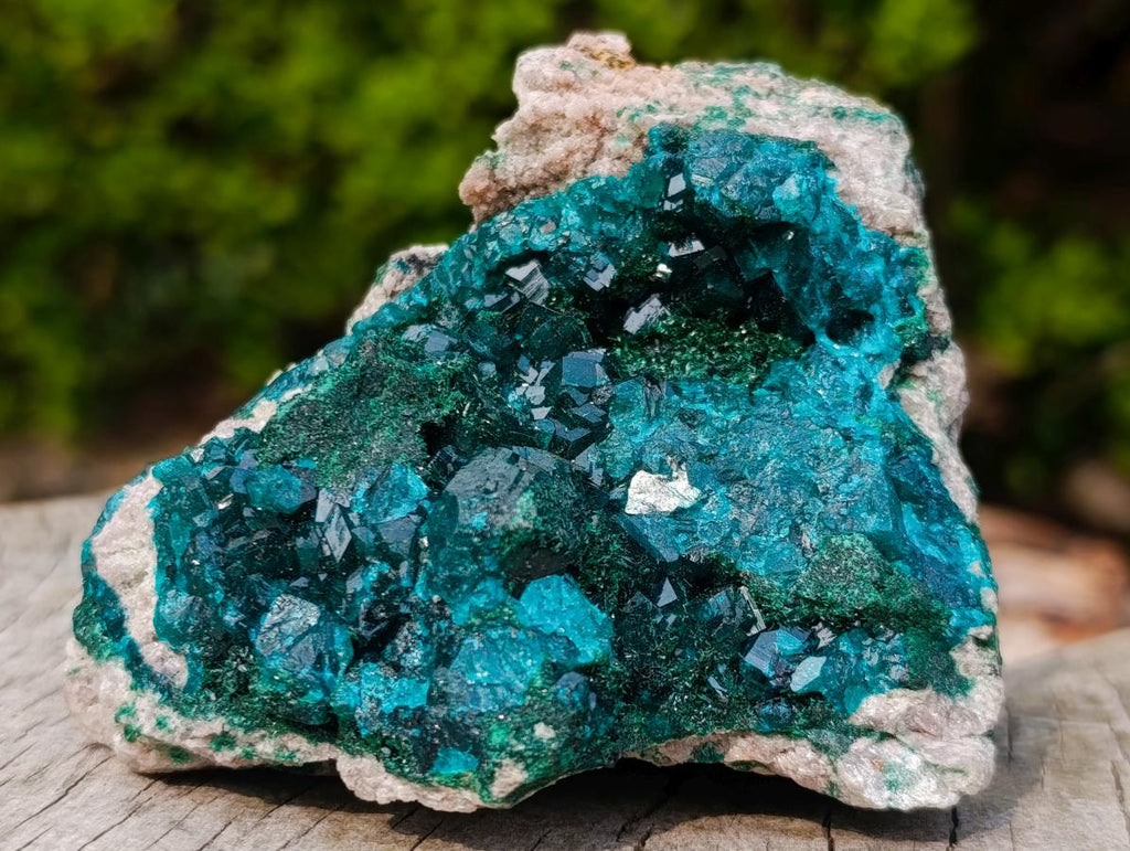 Natural Classic Mashamba East Cabinet Dioptase Specimen x 1 From Mashamba East, Congo