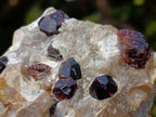 Natural Mix Set of 6 Unusual and Beautiful African Mineral Specimens x 1 From Southern Africa