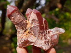 Natural Mix Set of 6 Unusual and Beautiful African Mineral Specimens x 1 From Southern Africa