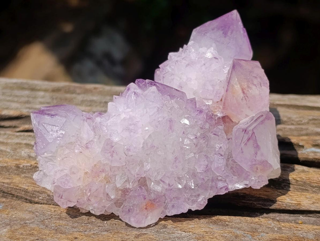 Natural Perfect Sunburst Spirit Amethyst Crystal Cluster x 1 From Boekenhouthoek, South Africa