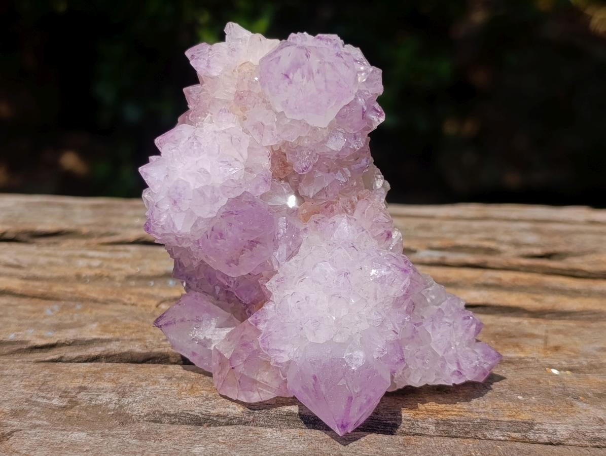 Natural Perfect Sunburst Spirit Amethyst Crystal Cluster x 1 From Boekenhouthoek, South Africa