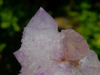 Natural Perfect Sunburst Spirit Amethyst Crystal Cluster x 1 From Boekenhouthoek, South Africa