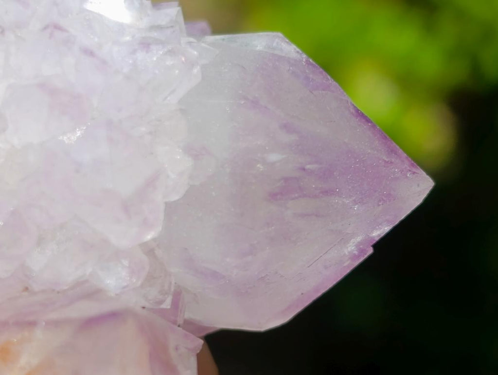 Natural Perfect Sunburst Spirit Amethyst Crystal Cluster x 1 From Boekenhouthoek, South Africa