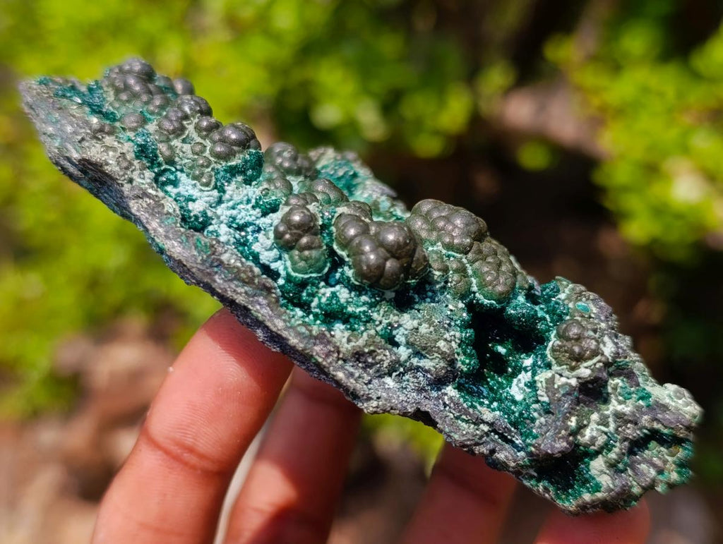 Natural Botryoidal and Fibrous Malachite Specimen with Goethite and Chrysocolla x 1 From Kolwezi, Congo