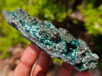 Natural Botryoidal and Fibrous Malachite Specimen with Goethite and Chrysocolla x 1 From Kolwezi, Congo