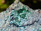 Natural Botryoidal and Fibrous Malachite Specimen with Goethite and Chrysocolla x 1 From Kolwezi, Congo