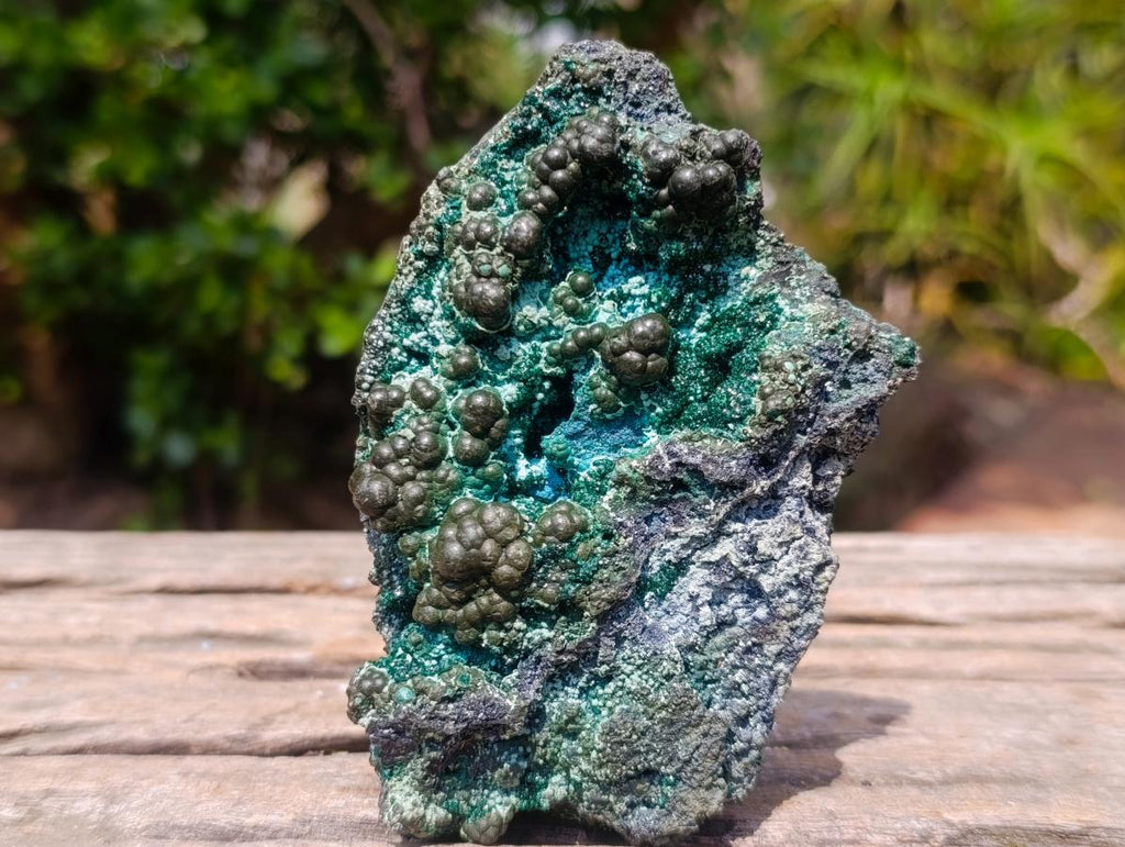 Natural Botryoidal and Fibrous Malachite Specimen with Goethite and Chrysocolla x 1 From Kolwezi, Congo