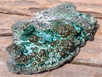 Natural Botryoidal and Fibrous Malachite Specimen with Goethite and Chrysocolla x 1 From Kolwezi, Congo