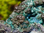 Natural Botryoidal and Fibrous Malachite Specimen with Goethite and Chrysocolla x 1 From Kolwezi, Congo