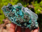 Natural Botryoidal and Fibrous Malachite Specimen with Goethite and Chrysocolla x 1 From Kolwezi, Congo