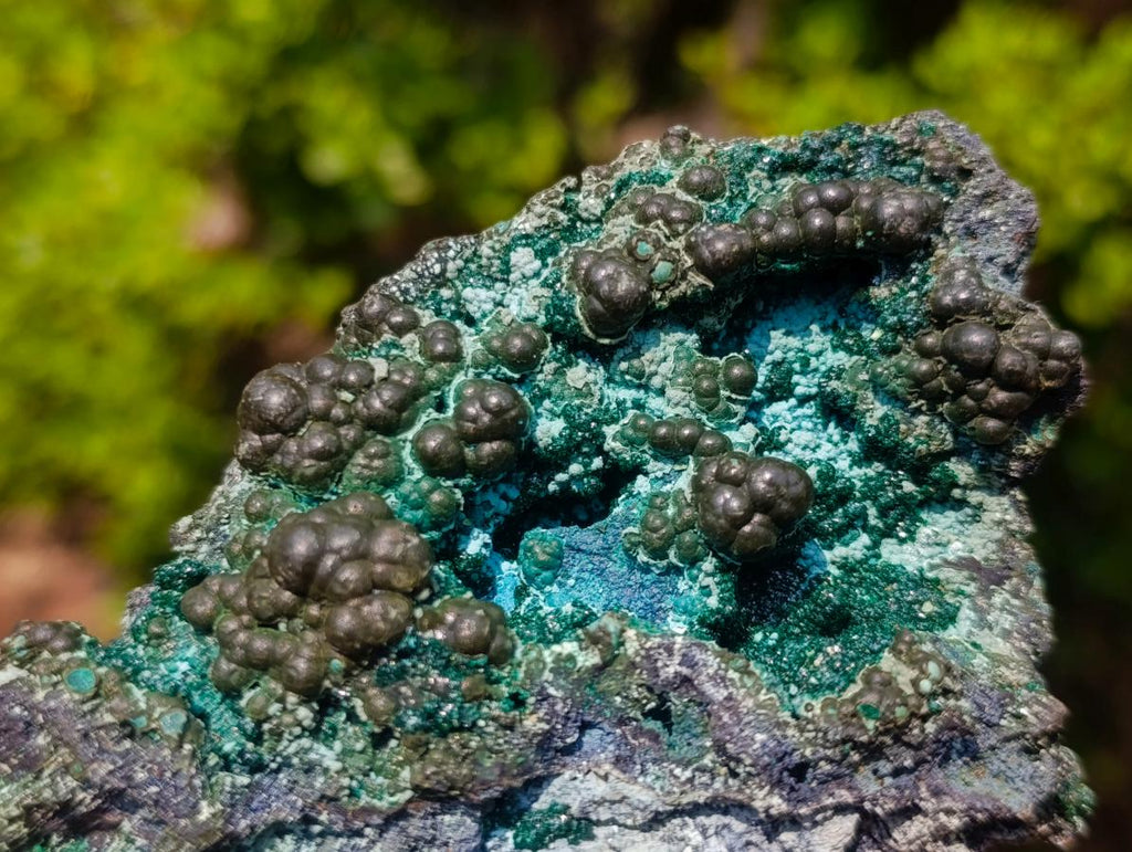 Natural Botryoidal and Fibrous Malachite Specimen with Goethite and Chrysocolla x 1 From Kolwezi, Congo